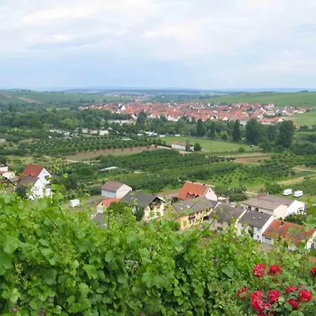 Lägenhet Ferien- Und Winzerhof Ute Braun *