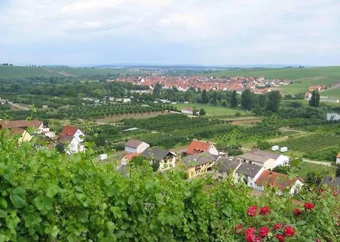Apartamento Ferien- Und Winzerhof Ute Braun *